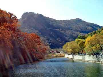 新澳天天开奖资料大全旅游团，贵毕路车祸